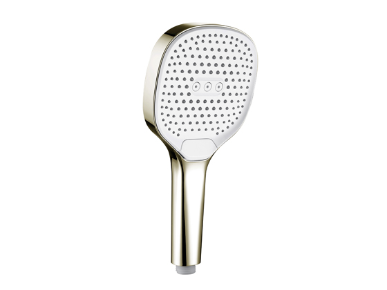 A13631 -  Polished N... A13631 -  Polished N...